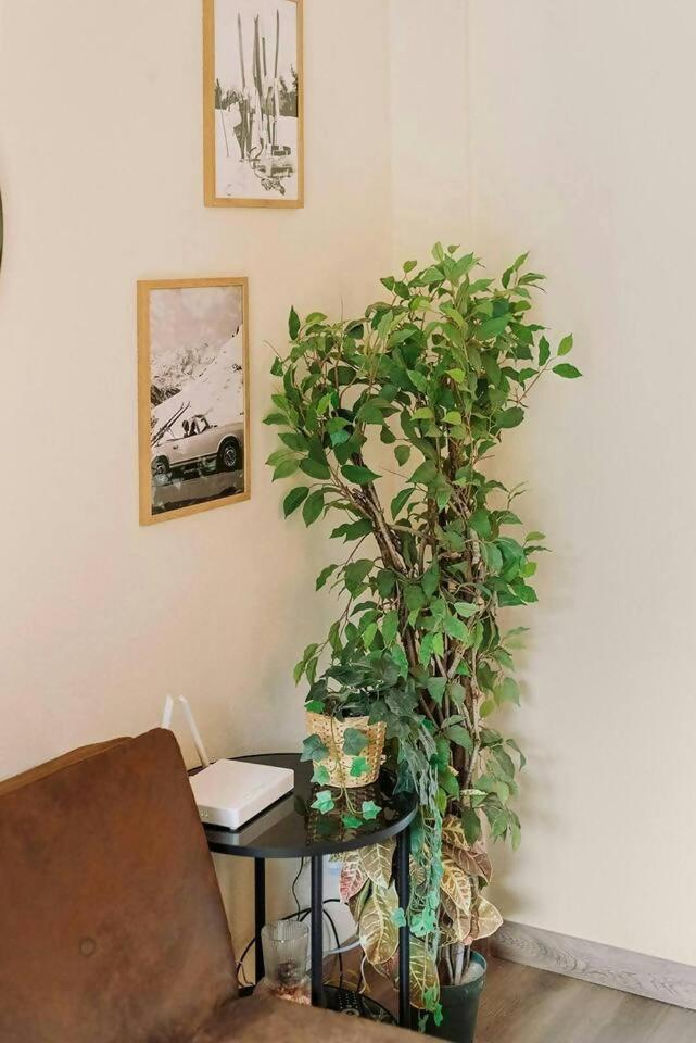 サジェント・デ・ガジェゴLa Casita Del Arbolアパートメント エクステリア 写真